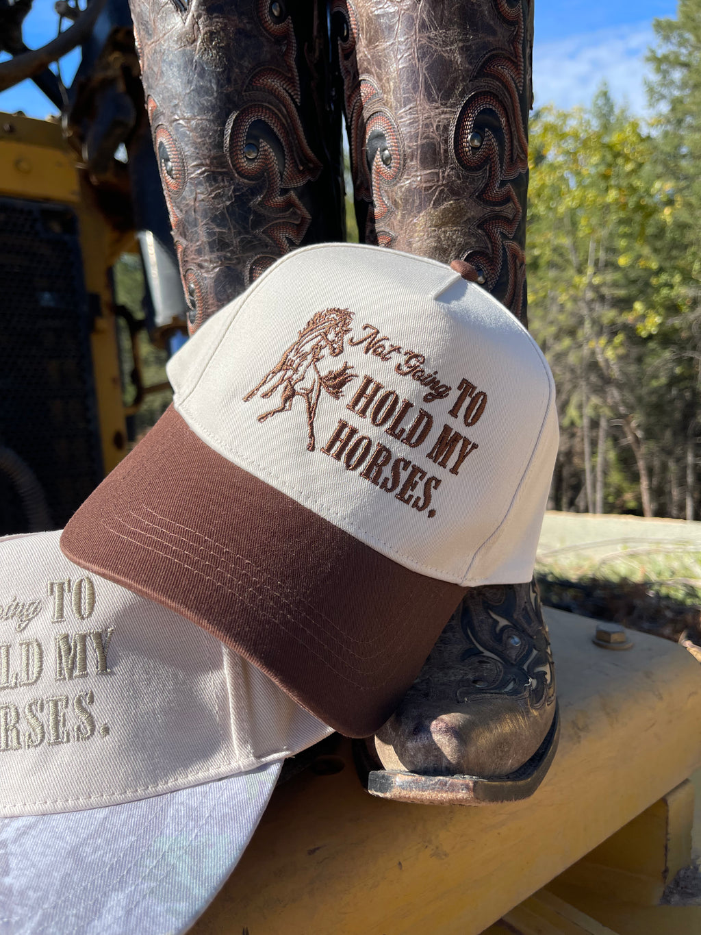 Not Going To Hold My Horses