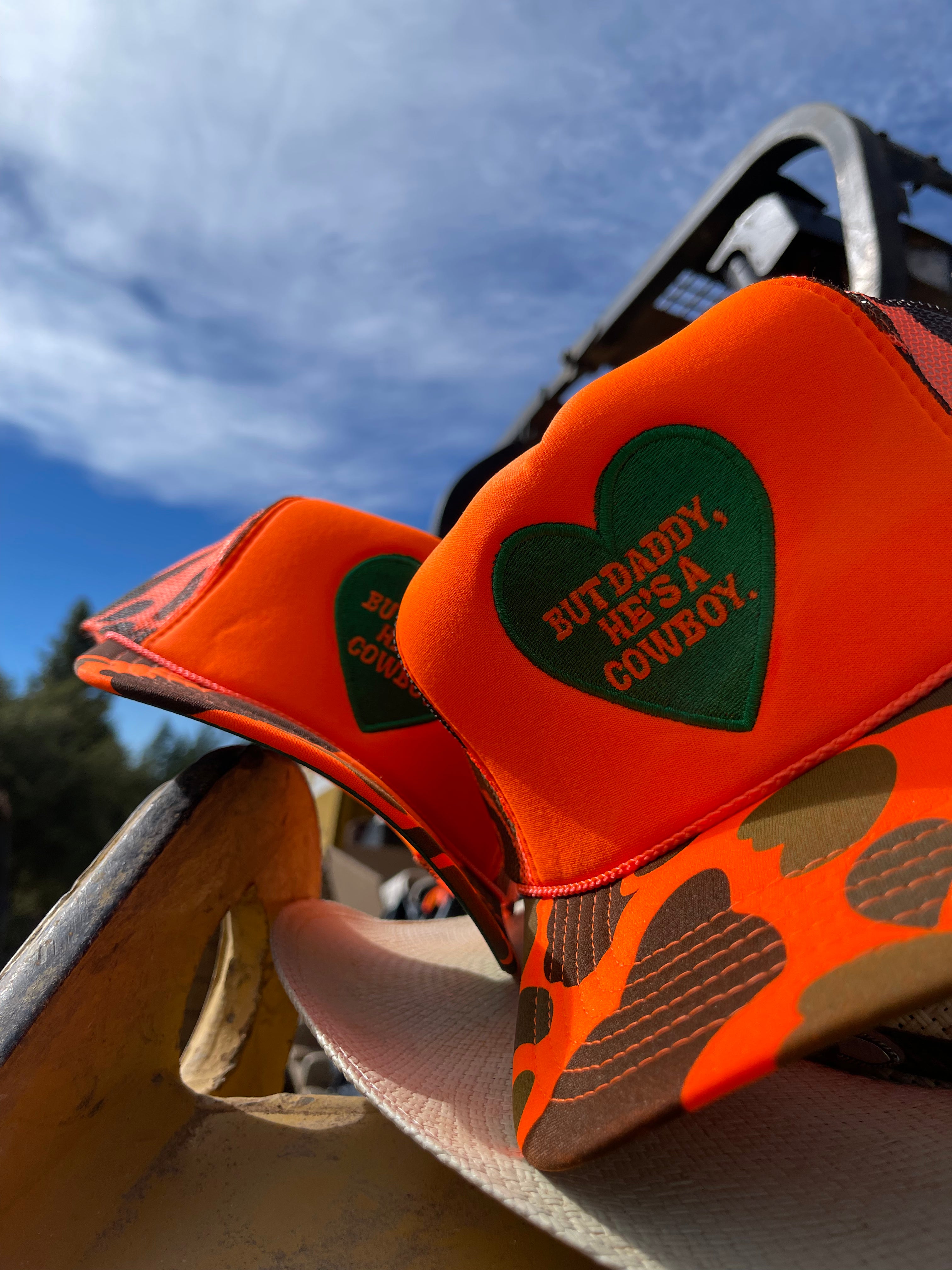 But Daddy He's A Cowboy