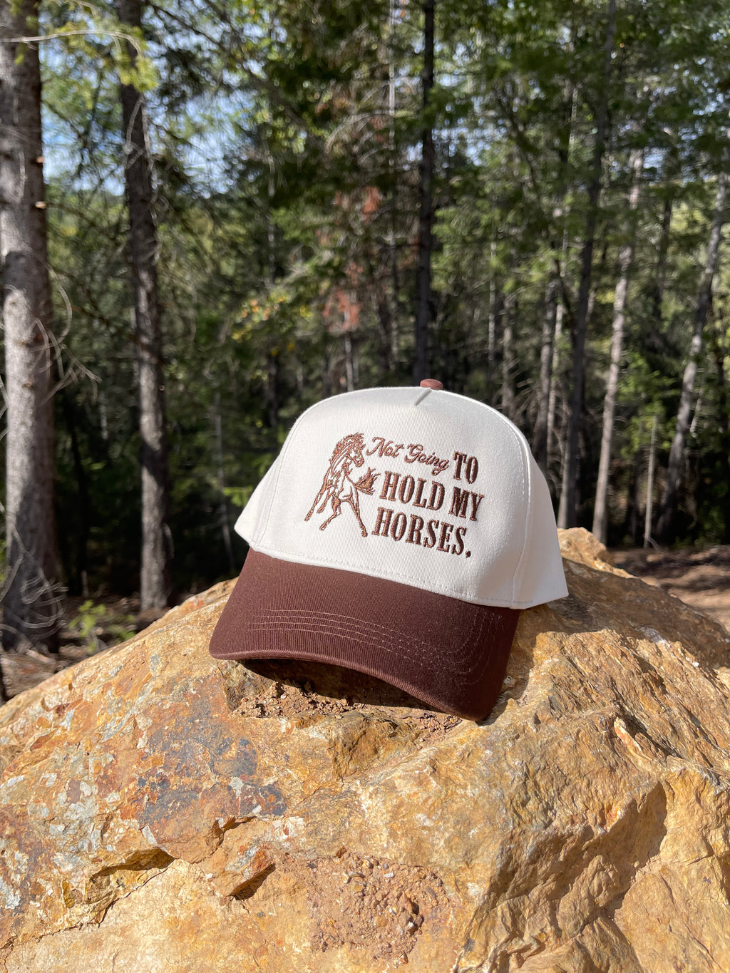 Not Going To Hold My Horses